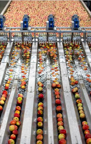 Sorting Instruments Spd Tech Future of packaging: trends, tech, and measurement solutions ...